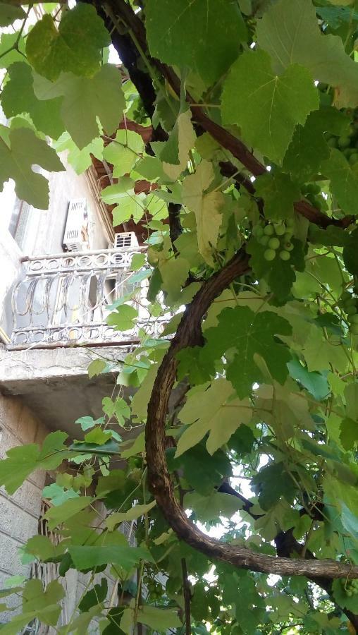 فندق Elco زوغديدي المظهر الخارجي الصورة